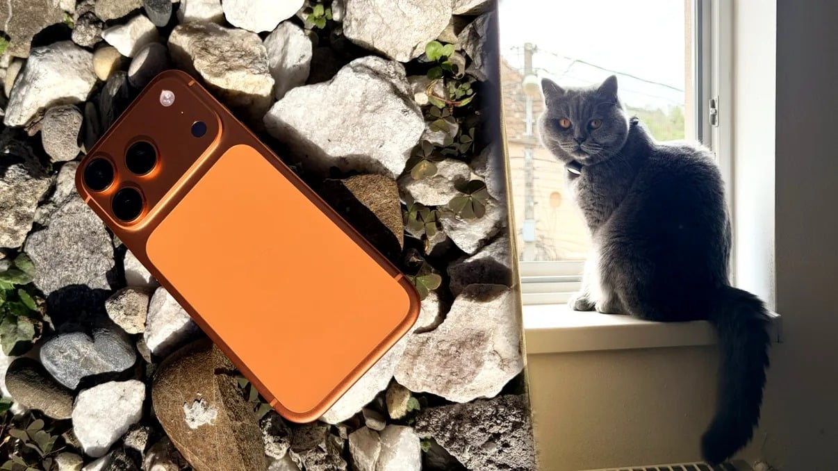 Apple a încheiat anul 2022 cu cel mai bun trimestru din istoria companiei, raportând vânzări record de iPhone-uri și venituri fără precedent