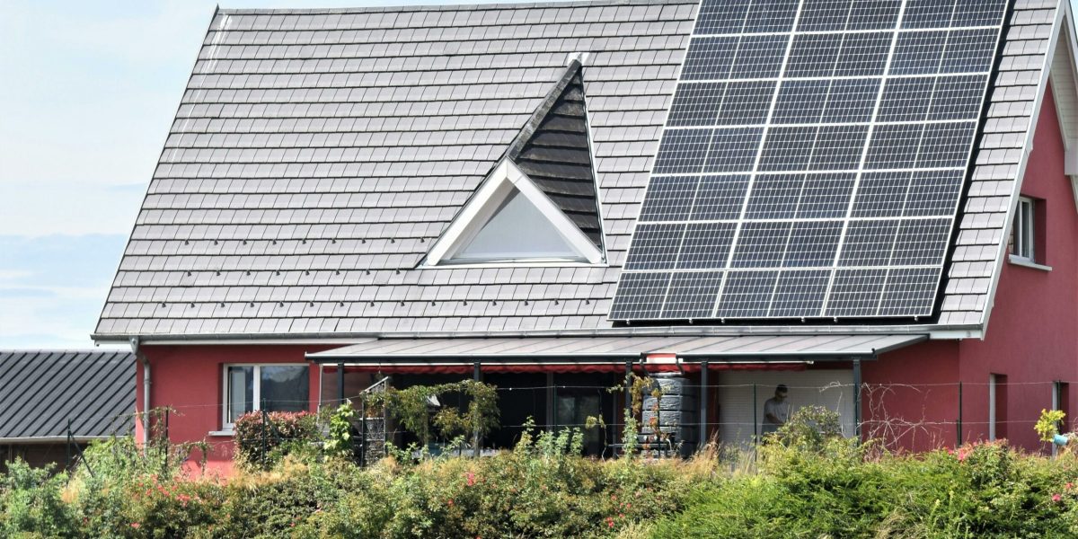 pexels-daniele-la-rosa-messina-1626789-17893477-scaled.jpg - StiriFresh