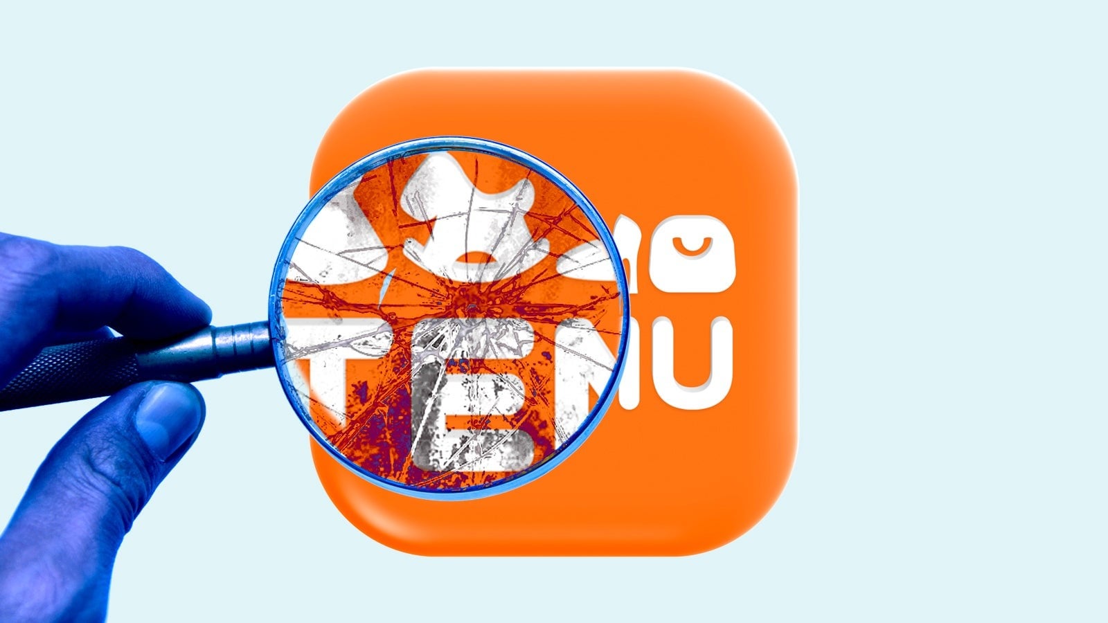 Cumpărăturile online de pe platforme low-cost, precum Temu, au devenit un adevărat fenomen în Europa, captând atenția consumatorilor prin prețuri extrem de mici și livrări rapide