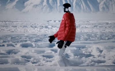 robot-umanoid.jpg - StiriFresh