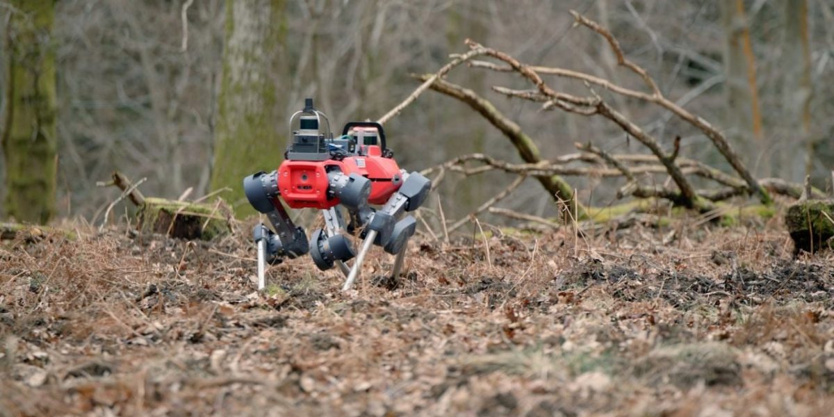 robotii-caini-care-scaneaza-padurile-defrisari.jpg - StiriFresh