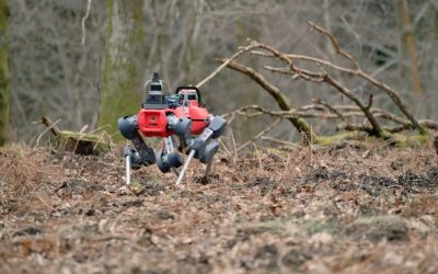 robotii-caini-care-scaneaza-padurile-defrisari.jpg - StiriFresh