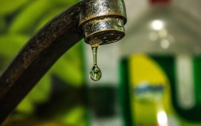 PNL Argeș contestă decizia autorităților de a declara stare de alertă doar pentru municipiul Curtea de Argeș, în condițiile în care situația calității apei potabile afectează mai multe localități din județ