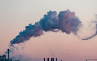 Un pas semnificativ în lupta împotriva schimbărilor climatice și în dezvoltarea energiei durabile vine din lumea cercetării, acolo unde oamenii de știință au făcut progrese notabile în transformarea dioxidului de carbon în resursă utilă