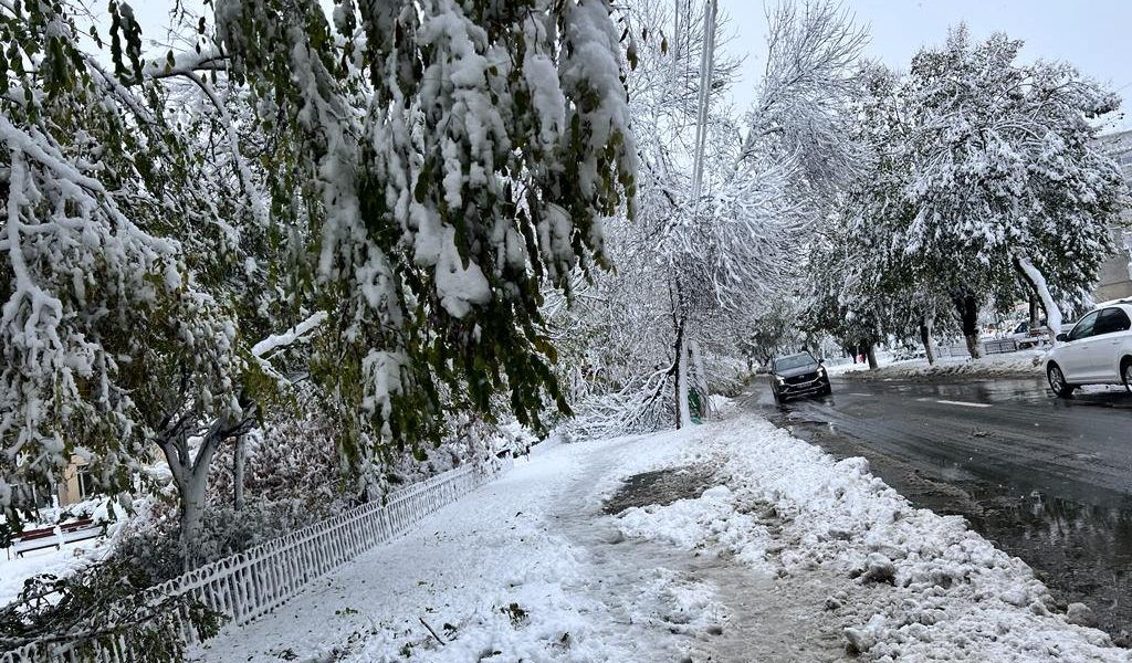 Traficul rutier pe drumurile naționale din mai multe județe din România se desfășoară luni dimineața în condiții deosebit de dificile, din cauza ninsorii și a ceții dense, fenomene meteo care impun atenție sporită șoferilor