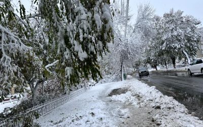 Traficul rutier pe drumurile naționale din mai multe județe din România se desfășoară luni dimineața în condiții deosebit de dificile, din cauza ninsorii și a ceții dense, fenomene meteo care impun atenție sporită șoferilor