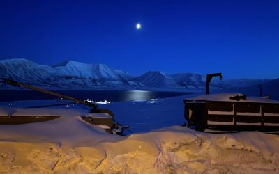 Anul 2026 se apropie cu pași repezi, dar nu doar ca o dată pe calendar, ci și ca un simbol al unei epoci în care informația devine tot mai vulnerabilă