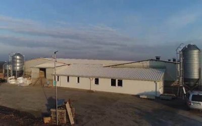 Buzău devine centru regional pentru creșterea porcilor cu ajutorul unei noi ferme de reproducție Județul Buzău a făcut un pas important spre întărirea și diversificarea sectorului zootehnic, odată cu inaugurarea celei de-a doua ferme de reproducție suină, un proiect finanțat de Ministerul Agriculturii și Dezvoltării Rurale printr-un program național de sprijin pentru dezvoltarea sectorului