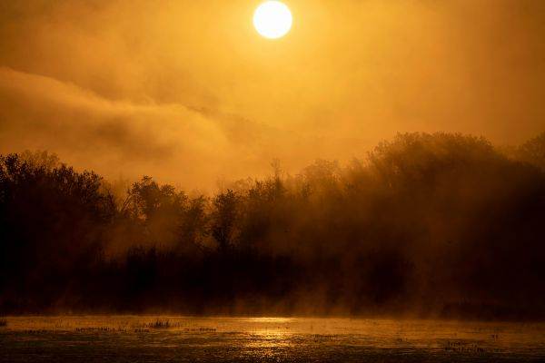 Val de căldură în SUA: temperaturi record în luna martie