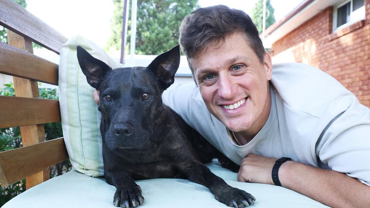 Un antreprenor tech din Sydney, Paul Conyngham, a folosit tehnologie de ultimă generație pentru a încerca să salveze viața unui câine diagnosticat cu cancer agresiv