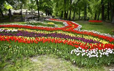 Oltenia, o provincie cu o istorie zbuciumată și un spirit de neînfrânt, sărbătorește zilnic memoria unei zone ce a fost mereu considerată greu de stăpânit și, în același timp, mereu surprinzătoare