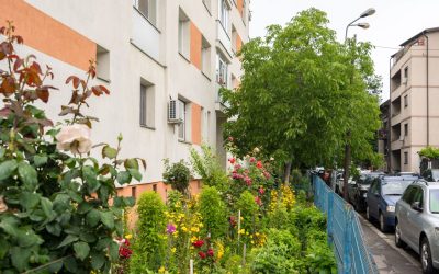 Curățenia și întreținerea spațiilor verzi din jurul blocurilor – despre responsabilități și sancțiuni Întreținerea spațiilor din jurul blocurilor nu este doar o problemă estetică, ci o obligație legală pentru asociațiile de proprietari, iar neglijența poate avea consecințe costisitoare