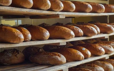 Prețul unei franzelă ar putea crește cu până la 40%