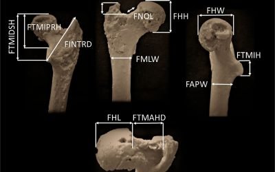 Descoperire: cel mai vechi strămoș uman, găsit în Bulgaria