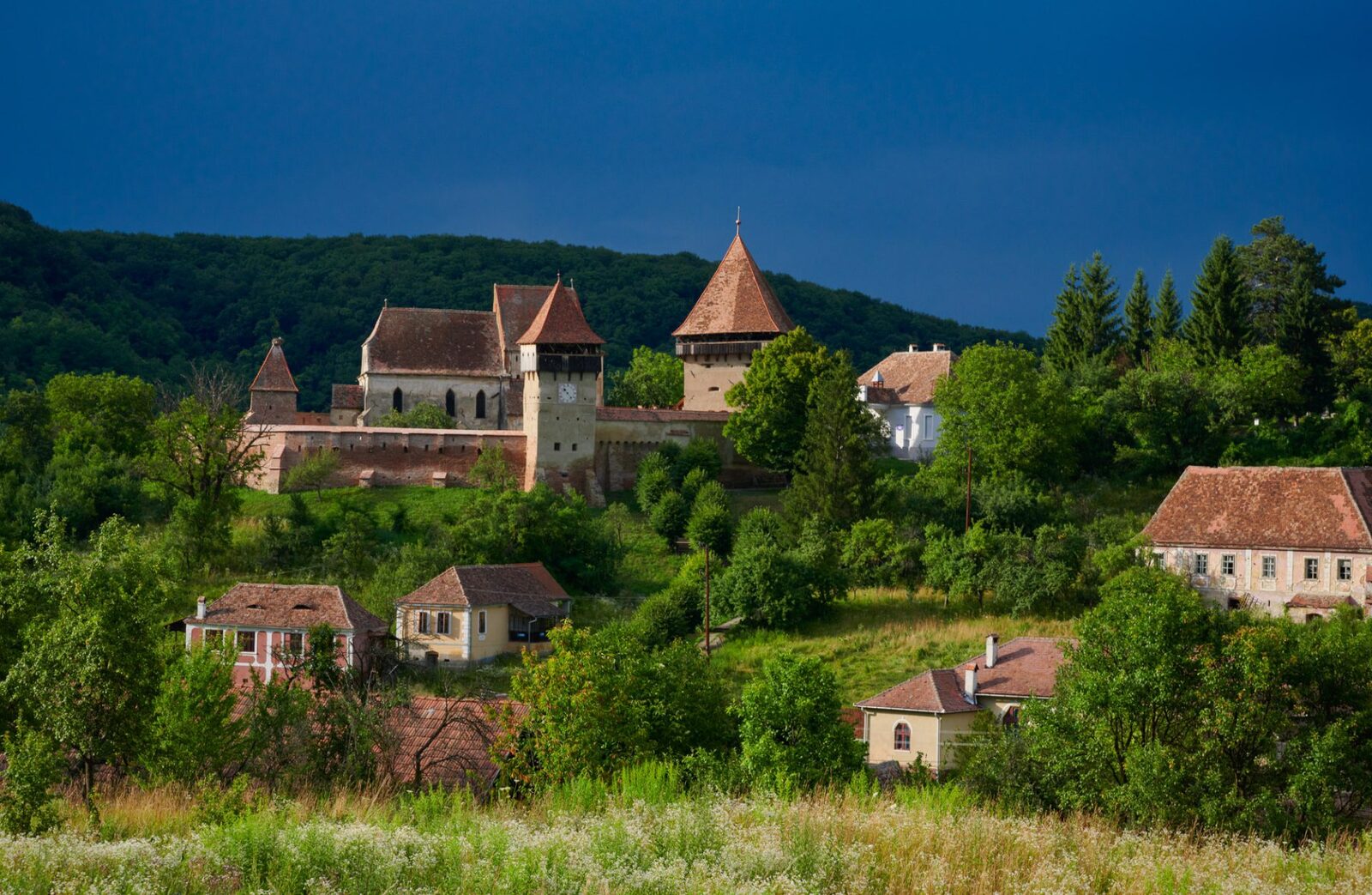 România, un potențial uriaș pentru ecoturism, rămâne în continuare în urma vecinilor săi din cauza unor lipsuri strategice și de promovare, chiar dacă resursele naturale și tradițiile sale autentice sunt unele dintre cele mai valoroase din Europa