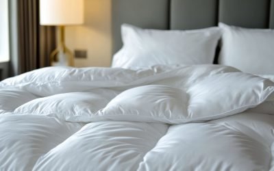 Cum să păstrezi puful pilotelor proaspăt și pufoase pentru ani de zile O pilotă din puf reprezintă cel mai plăcut și călduros somn, dar întreținerea acesteia poate deveni o provocare dacă nu știi exact pașii corecți