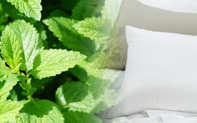 De câțiva ani, o practică aparent simplă și uneori ignorată a început să câștige tot mai multă priză în rândul celor care doresc să-și îmbunătățească calitatea somnului și să-și organizeze mai eficient rutinele de seară