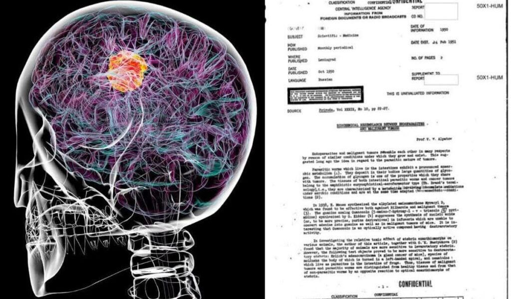 Un document declasificat al CIA, datând din anul 1951, aduce în prim-plan o ipoteză surprinzătoare despre conexiunea între tumorile maligne și anumite paraziți