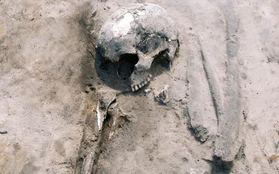 Dieta și modul de viață al comunităților preistorice din nord-centrul Poloniei, revelate prin gene vechi de 3.000 de ani O echipă internațională de arheologi și antropologi a reușit să aprofundeze înțelesurile din spatele vieții sociale și a obiceiurilor alimentare ale comunităților preistorice din nord-centrul Poloniei, folosind tehnologii avansate de analiză a ADN-ului antic