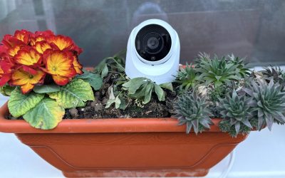 Synology TC500 aduce o revoluție discretă în domeniul camerelor de supraveghere, celebre pentru simplitate, fiabilitate și integrare perfectă în ecosistemele existente