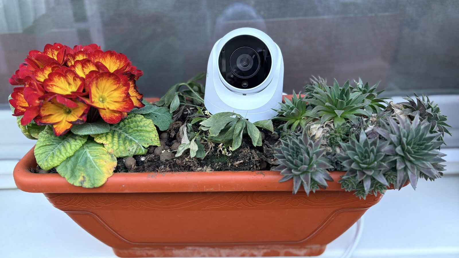 Synology TC500 aduce o revoluție discretă în domeniul camerelor de supraveghere, celebre pentru simplitate, fiabilitate și integrare perfectă în ecosistemele existente