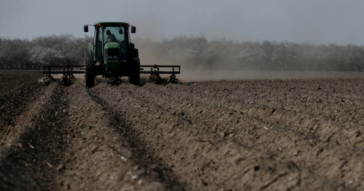 Ministerul Agriculturii ia în calcul un mecanism pentru reducerea prețului la motorină destinată fermierilor Ministrul Agriculturii, Florin Barbu, a anunțat miercuri că autoritatea pe care o conduce analizează în prezent o nouă strategie menită să faciliteze accesul fermierilor la motorină la un preț mai avantajos