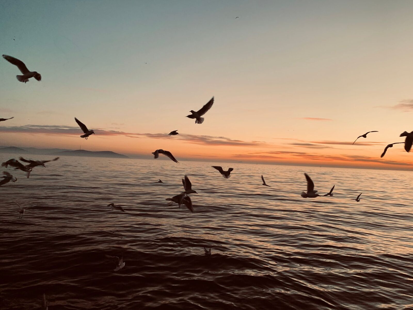 O inovație revoluționară în lupta împotriva dezastrului de mediu maritim: tornade de foc controlate pentru combaterea scurgerilor de petrol Un nou pas înainte în tehnologia de intervenție în caz de dezastru ecologic maritim a fost făcut de cercetători americani, care au testat cu succes o metodă inedită de ardere controlată: formarea unor vârtejuri de foc gigante de peste 5 metri în înălțime, menite să ardă rapid și eficient scurgerile de petrol, reducând astfel impactul asupra mediului cu mult peste metodele convenționale