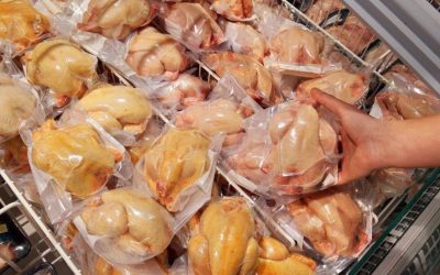 Puiul galben din închisorile de carne: între marketing, reglementări și controverse despre siguranță În piața românească, de câțiva ani buni, prezența puiului cu pielea galbenă a devenit o veritabilă problemă de siguranță alimentară și de etică a industriei avicole