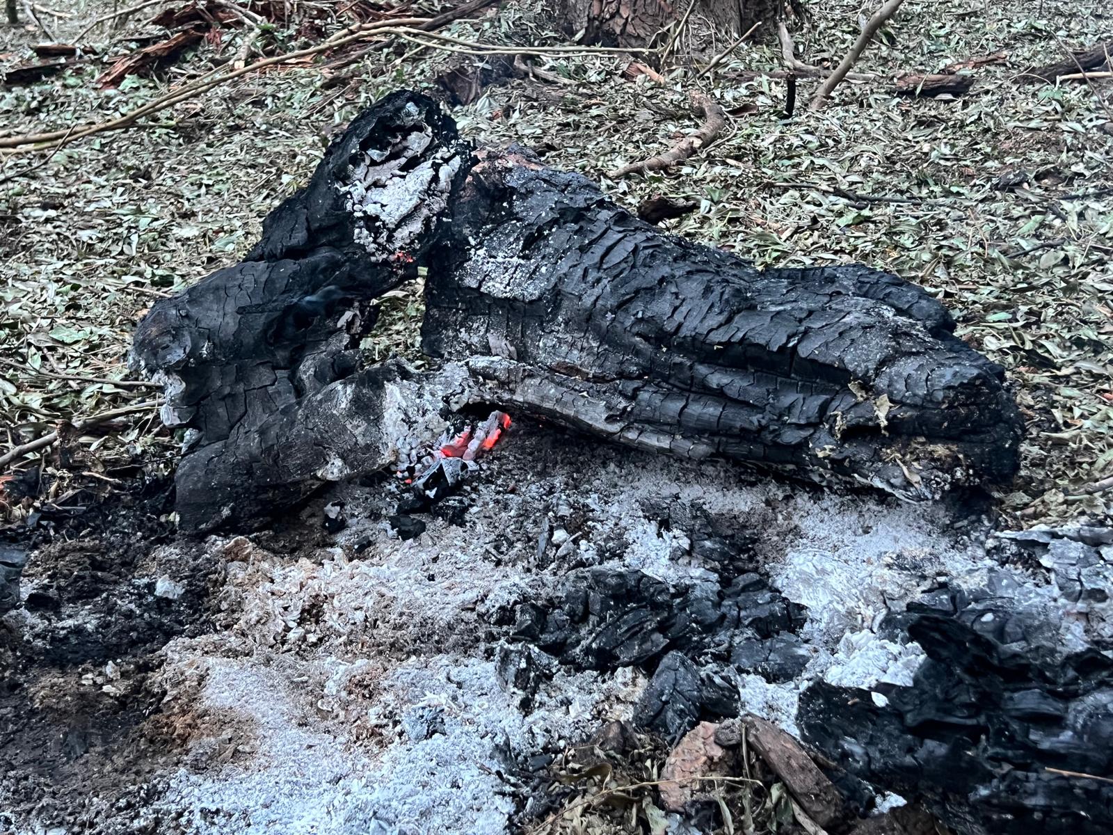 Apariție controversată a avioanelor deasupra graniței cu Ucraina: autorizație oficială pentru intervenție aeriană Vineri seară, în contextul tensionat al frontierelor estice ale României, avioane de vânătoare ale Forțelor Aeriene au fost mobilizate pentru interceptarea unor ținte aeriene suspecte în apropierea graniței cu Ucraina