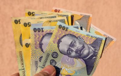 Indemnizația pentru însoțitor, un sprijin esențial pentru persoanele cu handicap grav Persoanele cu handicap grav care necesită ajutor permanent pentru desfășurarea activităților zilnice pot beneficia de o indemnizație specială pentru însoțitor