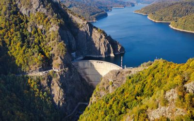 Autoritățile din județul Argeș au reacționat de urgență după ce lacul de acumulare Vidraru, unul dintre cele mai importante rezervoruri de apă din zona montană a României, a fost supus unei poluări suspecte