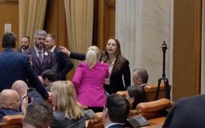 Anamaria Gavrilă s-a enervat în plen și i-a spus colegei: „Stai în banca ta!”