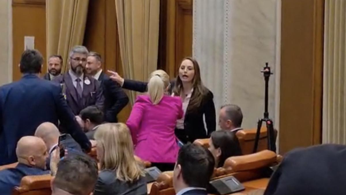 Anamaria Gavrilă s-a enervat în plen și i-a spus colegei: „Stai în banca ta!”