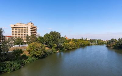 Prezența șacalilor în zonele urbane ale Aradului provoacă îngrijorare printre localnici și autorități, pe măsură ce aceste animale, considerate speciile invazive, își tot măresc teritoriul și devin tot mai vizibile în apropierea gospodăriilor