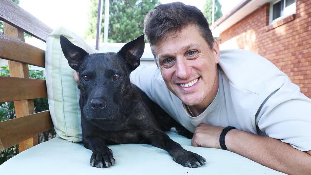Inteligența artificială face pași importanți în tratamentul cancerului la animale O poveste impresionantă din lumea veterinară atrage din ce în ce mai mult atenția asupra potențialului pe care tehnologia îl poate avea în medicina personalizată, chiar și în cazul animalelor de companie