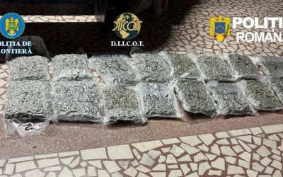 Italian reținut după ce a încercat să introducă droguri în România, descoperite de polițiști (FOTO)