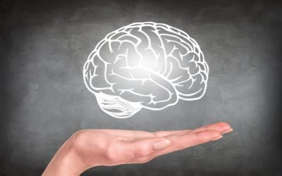 Un nou studiu revoluționar în domeniul neuroștiinței a oferit pentru prima dată o hartă completă a modului în care creierul nostru se organizează și se schimbă de-a lungul vieții