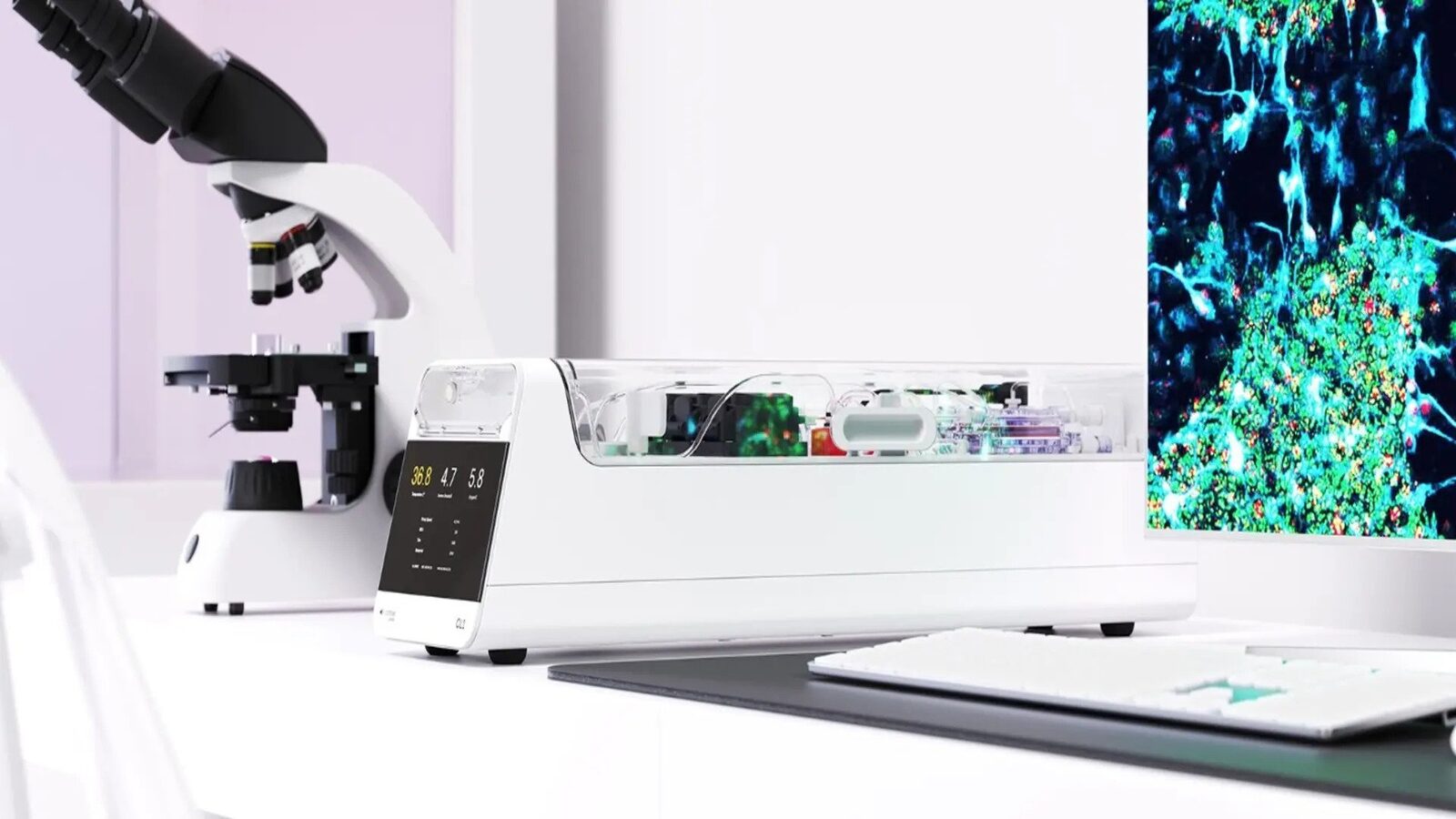 Cercetători din Australia au reușit să depășească limitele tradiționale ale tehnologiei digitale, realizând un experiment spectaculos în domeniul sistemelor hibride: celulele cerebrale umane vii au fost antrenate să joace „Doom”, un joc video extrem de popular, conectate la un hardware specializat din siliciu