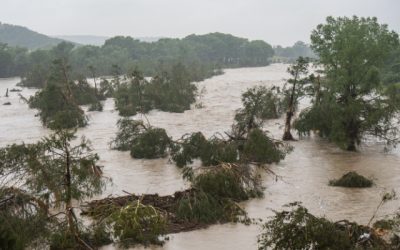 Google introduce un sistem revoluționar pentru prognoza inundațiilor rapide în mediul urban Google face un pas semnificativ în abordarea unuia dintre cele mai dificile și periculoase fenomene naturale: invițiile rapide, sau viiturile, mai ales în zonele urbane