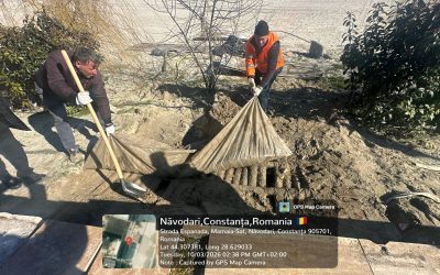 Noi descoperiri ilegale de instalații septice și rezervoare de gaz pe plajele din Năvodari au scos la iveală o problemă alarmantă privind respectarea normelor de mediu în litoralul românesc