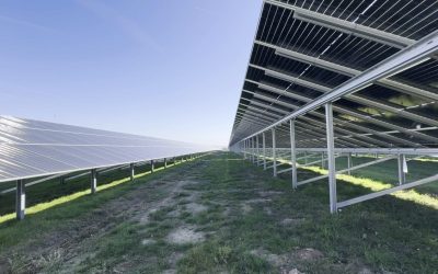 România a înregistrat vineri un nou record în producția de energie fotovoltaică, iar această creștere impresionantă întărește trendul ascendent al energiei verzi începând cu ultimele luni