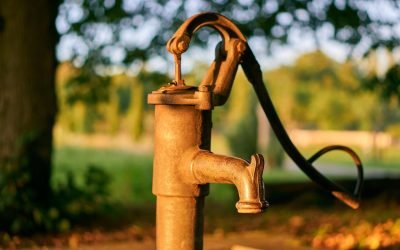 În județul Alba, mai bine de jumătate dintre izvoarele și fântânile publice monitorizate de Direcția de Sănătate Publică (DSP) sunt necorespunzătoare consumului uman