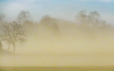 Un val de poluare a aerului se apropie de Europa de Vest, avertizează Observatorul european Copernicus, care a emis joi un front de alarmă privind creșterea semnificativă a nivelului de particule fine (PM2.5) în zonele din vestul continentului