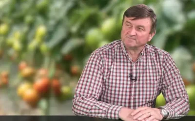 Prețurile legumelor din piețele românești vor suferi, cel mai probabil, o nouă creștere înainte de Paște, pe fondul celor mai recente scumpiri ale carburanților și energiei