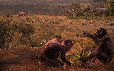 Fosila din Balcani reaprinde disputa științifică