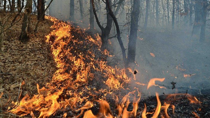 Incendii devastatoare în Maramureș: peste 90 de hectare de vegetație și pădure distruse în ultimele 24 de ore În ultimele zile, județul Maramureș a fost scena unor incendii de vegetație care au pus la grea încercare eforturile pompierilor și autorităților locale