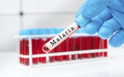 Trei frați mici, internați la Spitalul de Pediatrie din Iași, au fost suspectați de malarie, o boală rar întâlnită în zona Moldovei și mai puțin frecventă în România în curtains ani