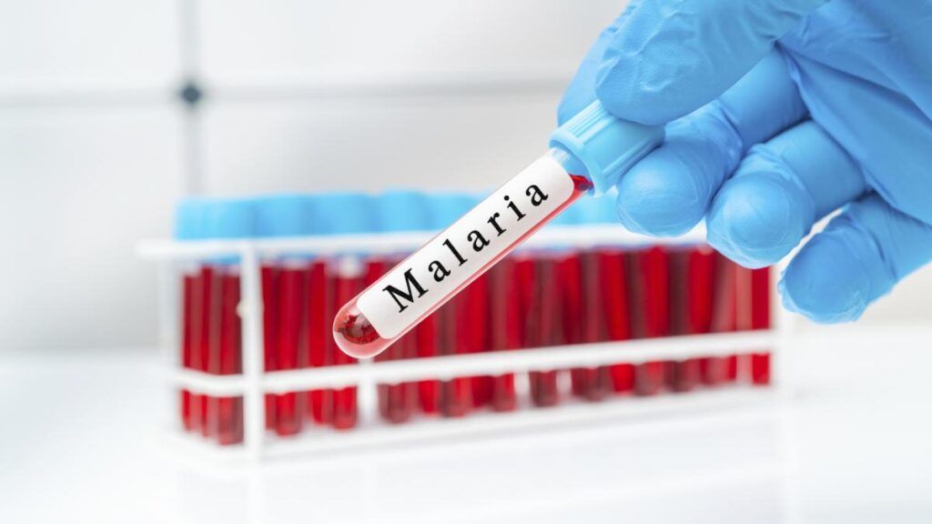 Trei frați mici, internați la Spitalul de Pediatrie din Iași, au fost suspectați de malarie, o boală rar întâlnită în zona Moldovei și mai puțin frecventă în România în curtains ani