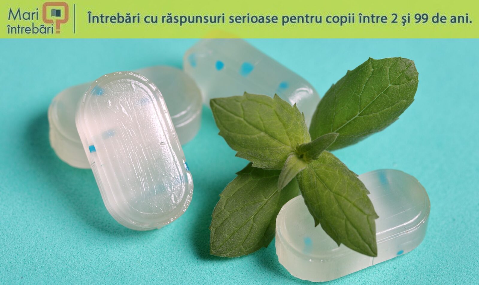 De ce menta provoacă senzație de rece pe gură și gât