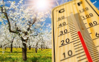 Vremea în luna aprilie în România se anunță mai schimbătoare decât de obicei, cu precipitații mai frecvente și temperaturi în limite normale pentru această perioadă